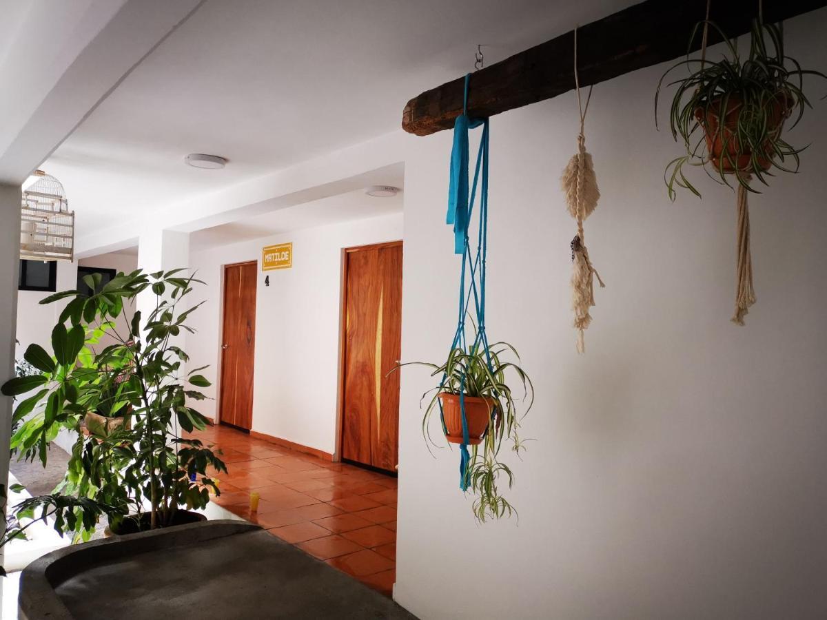 Bed and Breakfast Santa Josefita Rotamundos Cholula Exterior foto